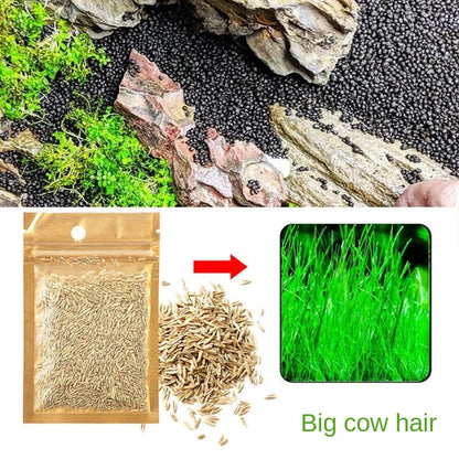 Aquarium Plant Soil – Fertile Substrate for Fish Tank Plants & Decor