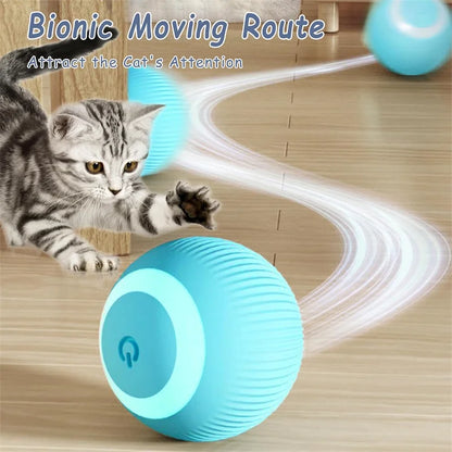 Smart Interactive Pet Toy Ball – USB Automatic Bouncing for Dogs & Cats