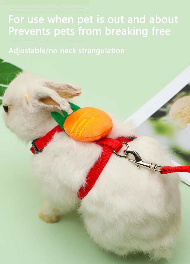 Small Pet Harness & Leash Set - Adjustable for Rabbits, Cats, Ferrets & Guinea Pigs