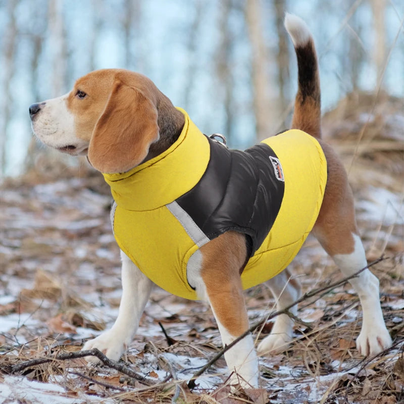 Waterproof Dog Jacket - Winter Warm Coat for Small & Large Dogs