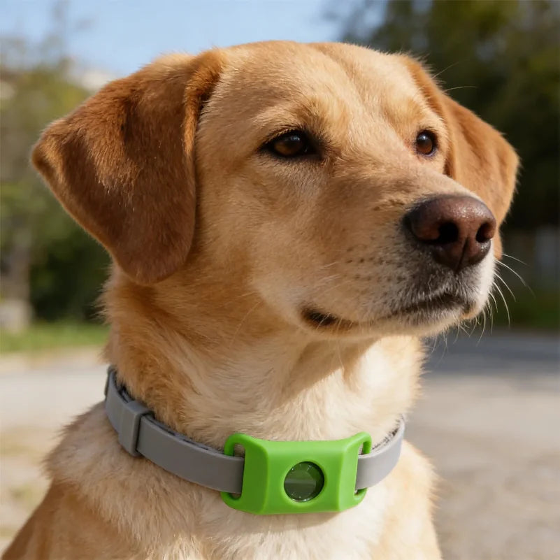 Natural Flea & Tick Repellent Dog Collar With Pendant