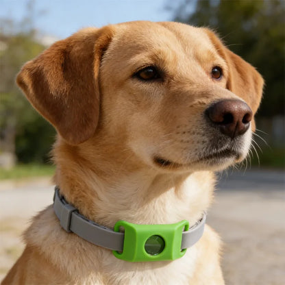 Natural Flea & Tick Repellent Dog Collar With Pendant