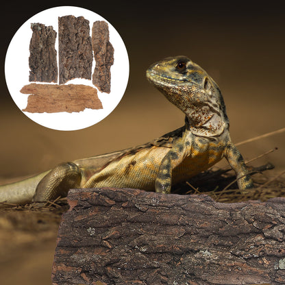 4Pcs Natural Cork Bark – Flat Reptile Terrarium Background & Climbing Decor